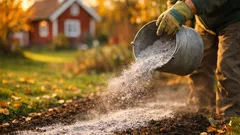 Så använder du vedaska i trädgården utan att skada gräsmatta och rabatter