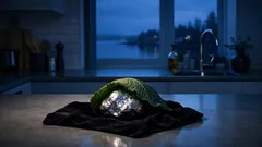 Lettlands kålmynt i silver: därför pratar alla samlare om den nya €5-utgåvan