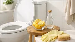 Så får du bort den bruna randen i toaletten med ättika och citron